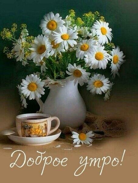 Дружба и общение