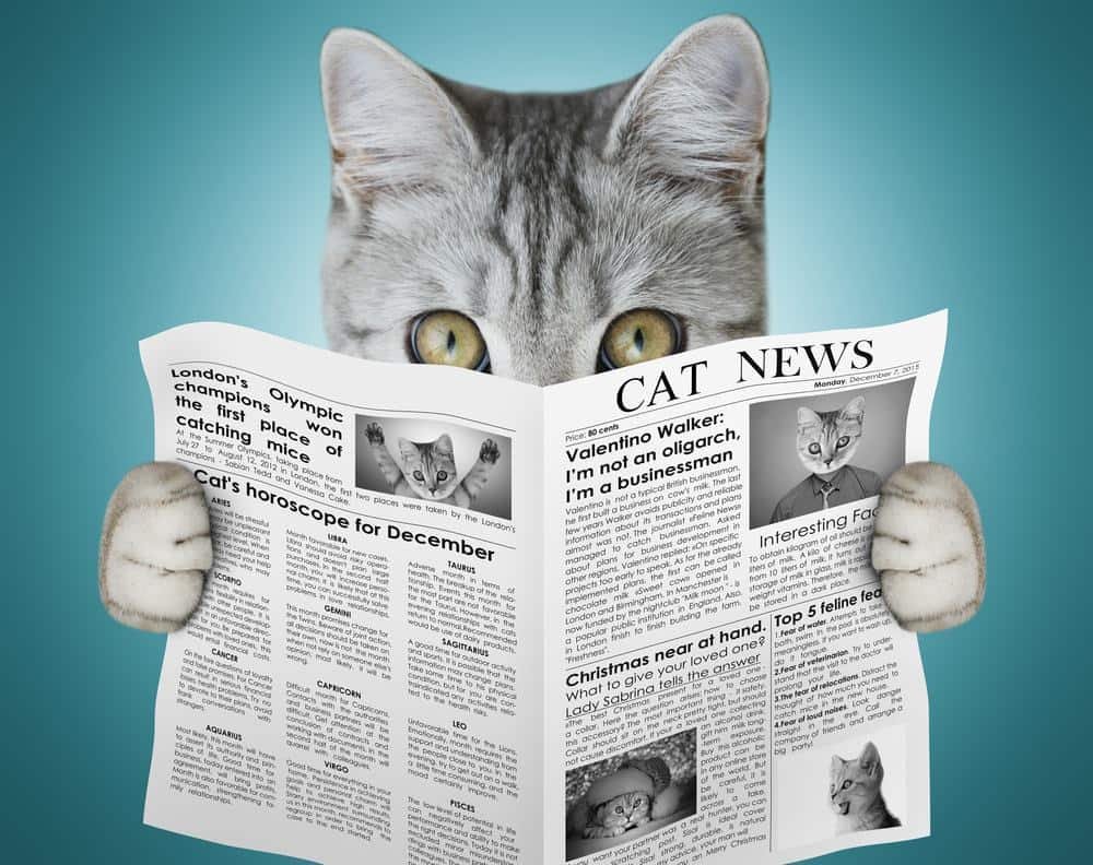 Агрегатор. Хорошие новости