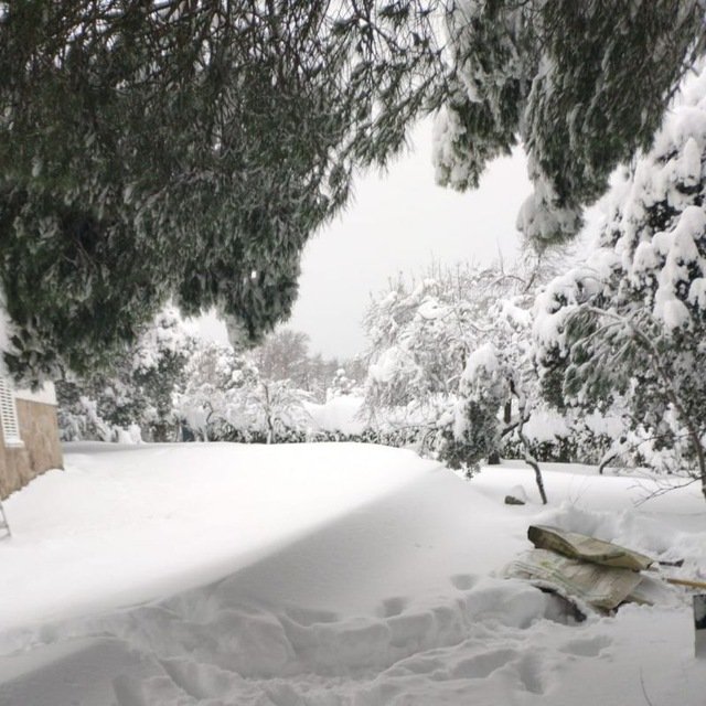 Рисование для всех