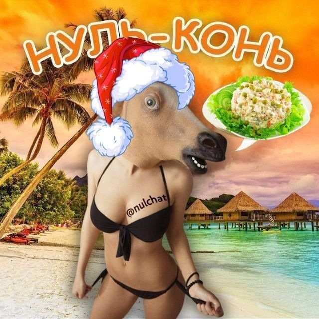 Нуль-Конь