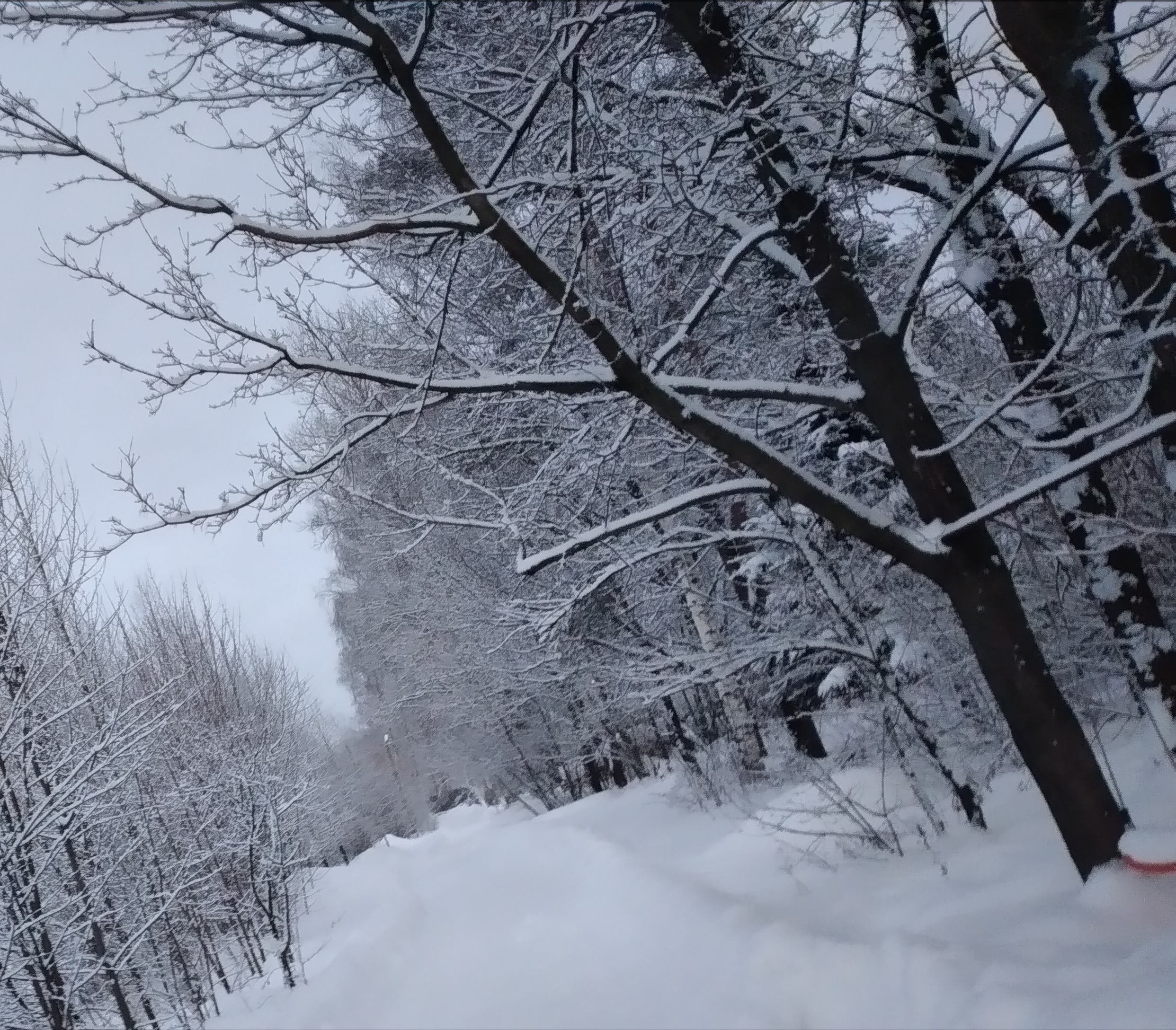 Общение и Дружба от 11 до 16 лет ждём тебя =).