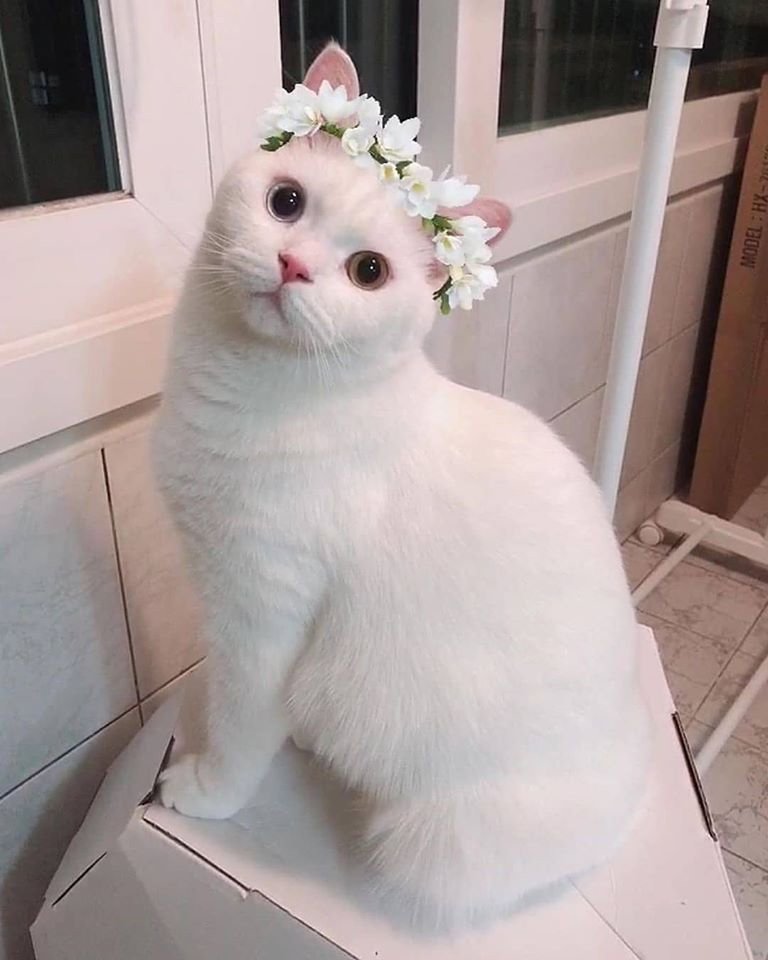 Почемучки!!!