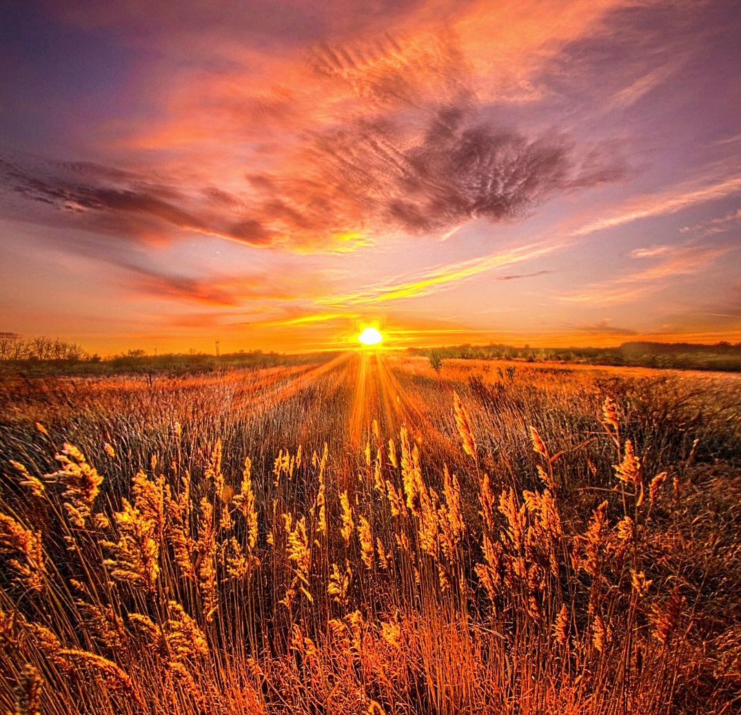 Ясновидящие