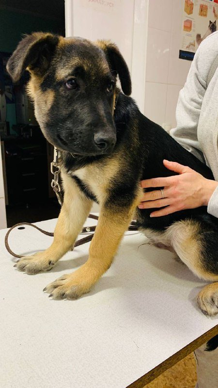 Помощь Томасу