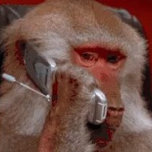 Биоми (видюшная)