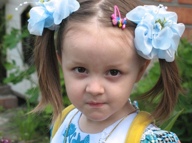 Mindal в телеге