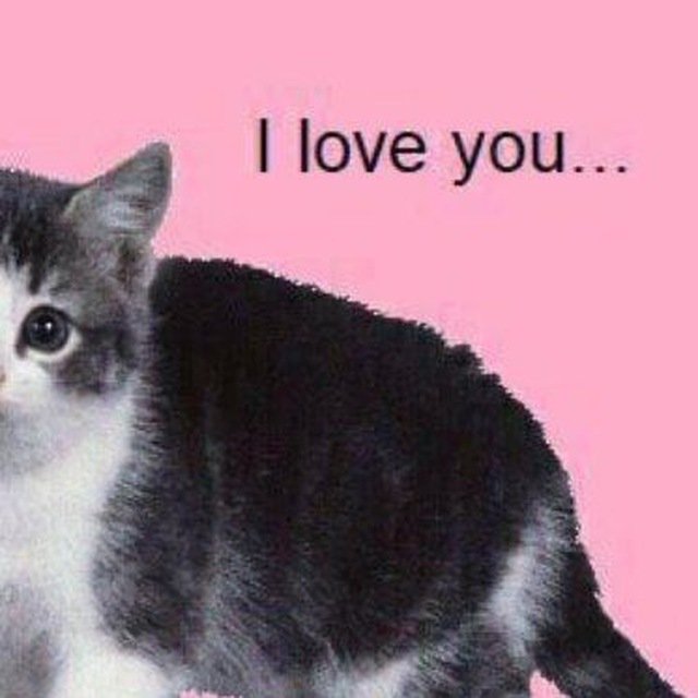 стишки за грешки