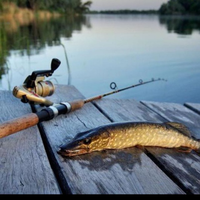 Рыбалка в Славянском районе ( Краснодарский край)