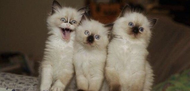 𝐃𝐫𝐮𝐳𝐲𝐚 𝐧𝐚𝐯𝐬𝐞𝐠𝐝𝐚 🌈™