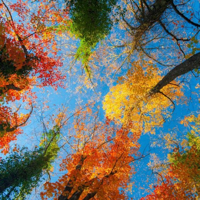 новости Сейчас