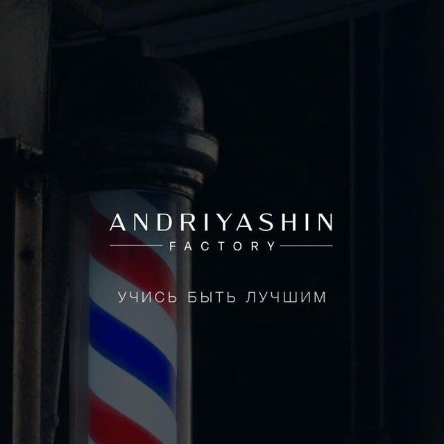 Академия Андрияшин Фэктори