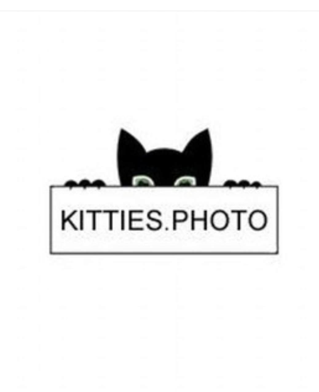 KITTIES.PHOTO