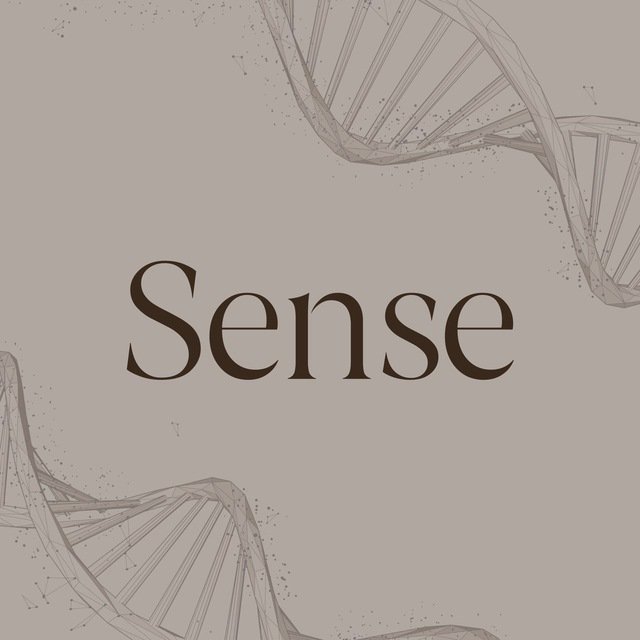 SENSE