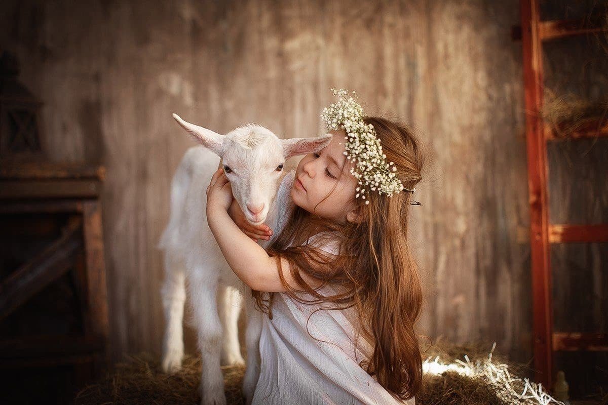 Ферма "Хутор метель Спиридоново подворье"