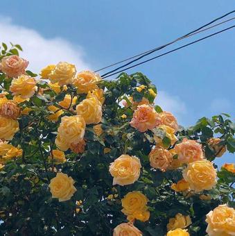 ПРОХОДНАЯ🍷🍷🅥🅘🅝🅘🅝🅞🍷🍷