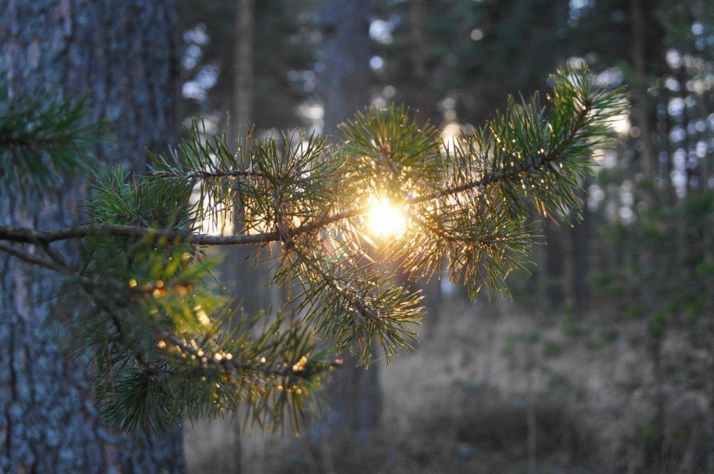Внутри Родины | Туризм | Путешествия | Россия