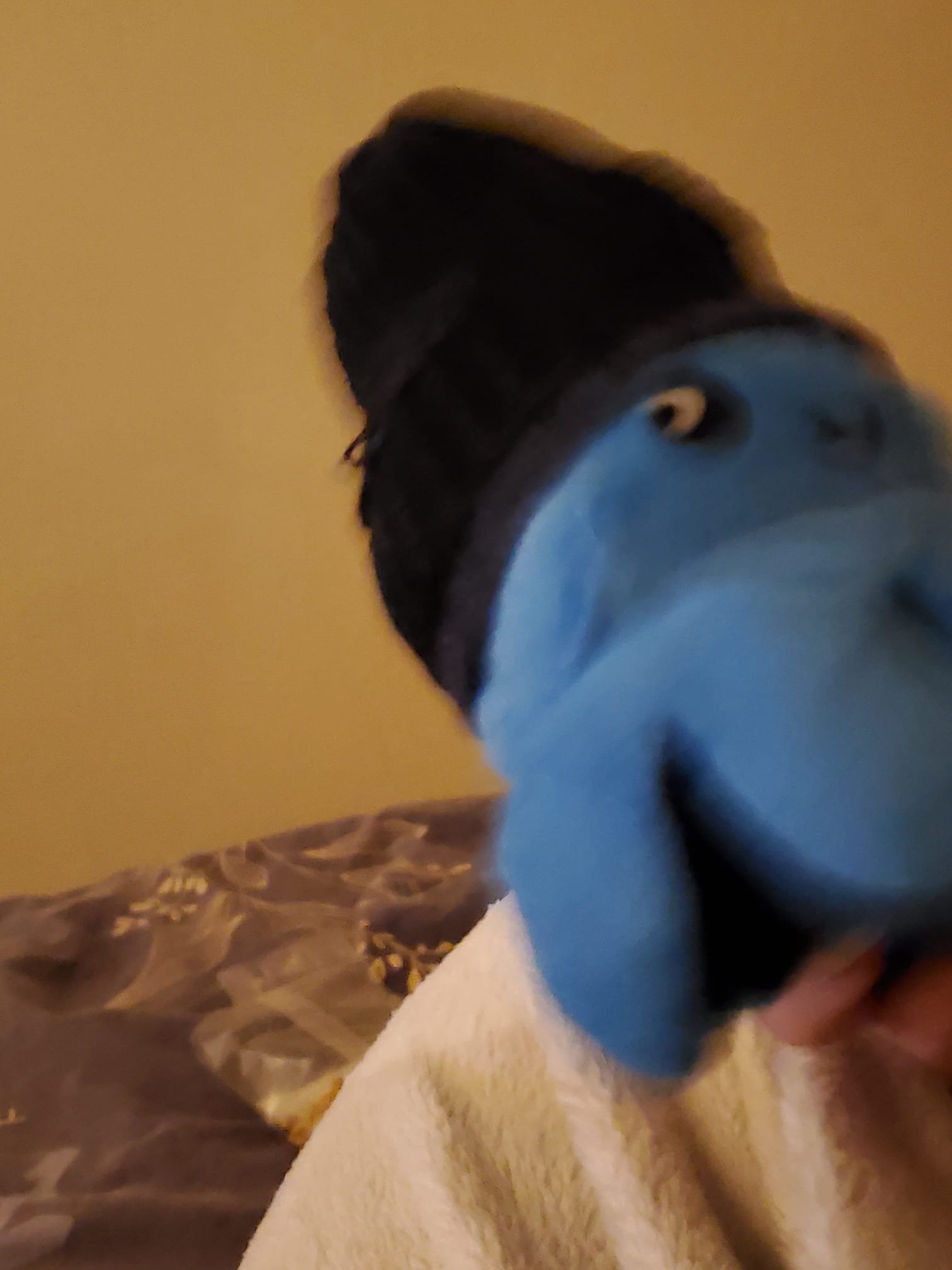 Во имя всего святого 🚬