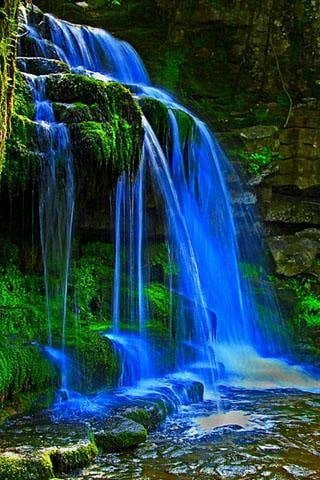 Верные друзья