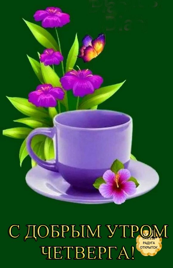 Видеопрокат