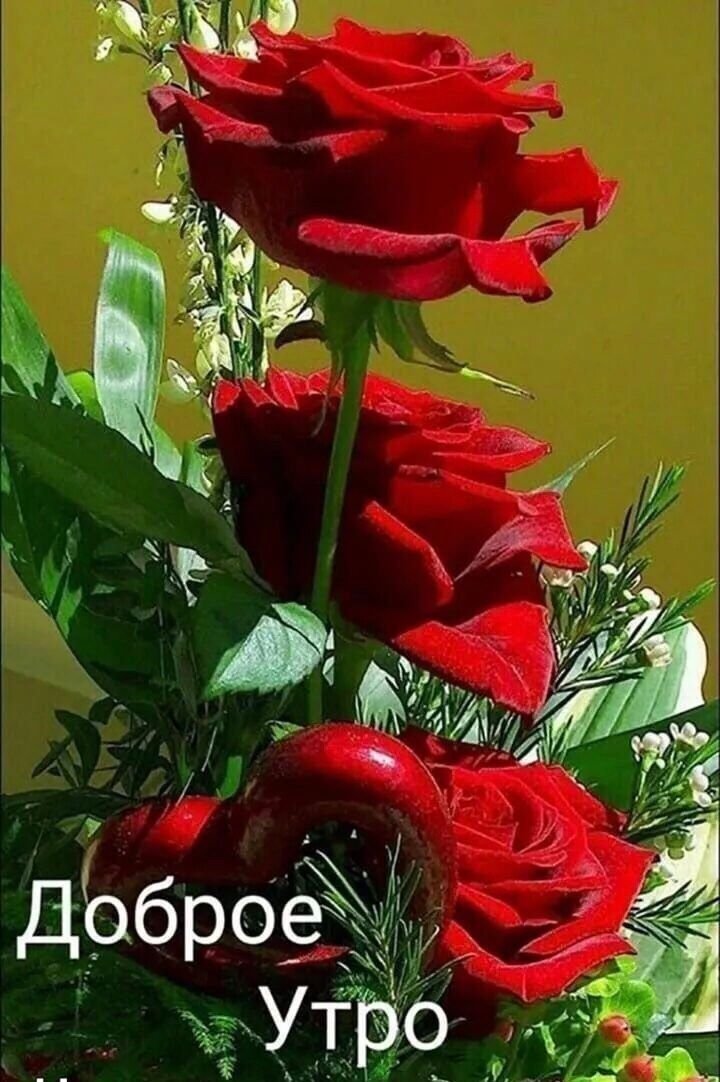 Детские пособия СК