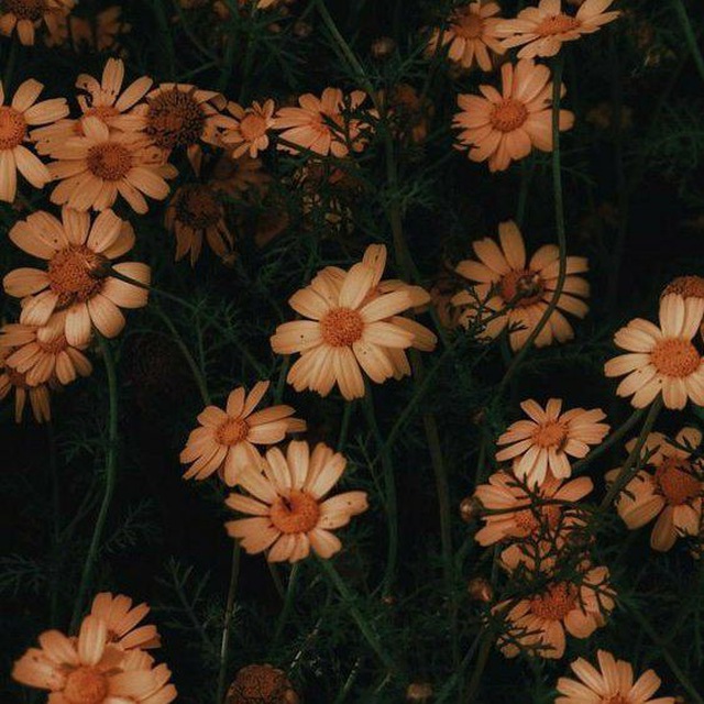 °√ Атмосферная эстетика √ Atmosphere music √°