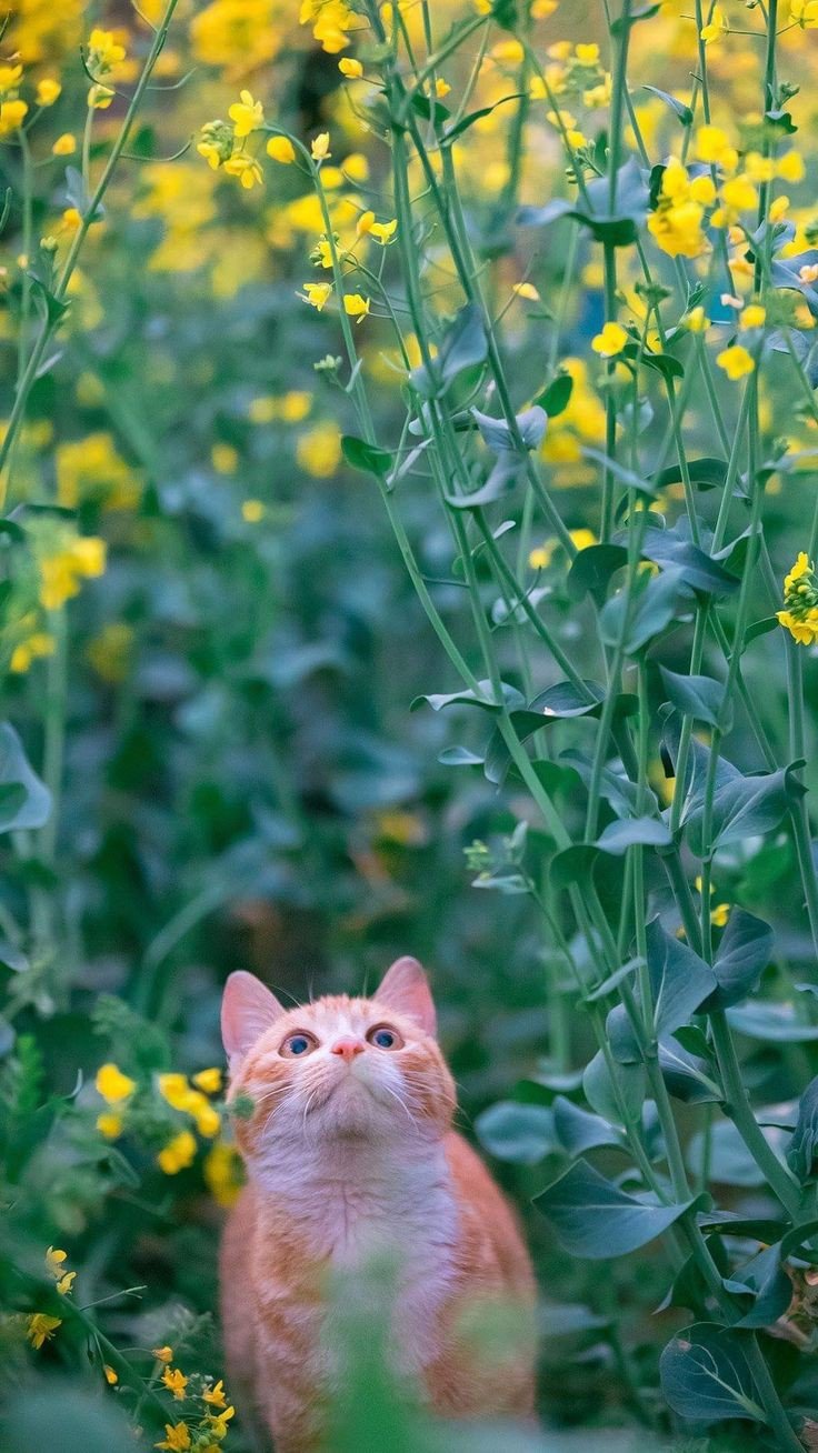 Тихое место