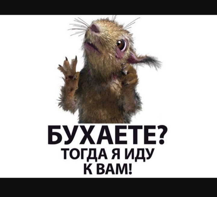 °•Α𑀐ⲥⲕⲁя🐿️Ⳝⲉⲗⲟɥⲕⲁ•°