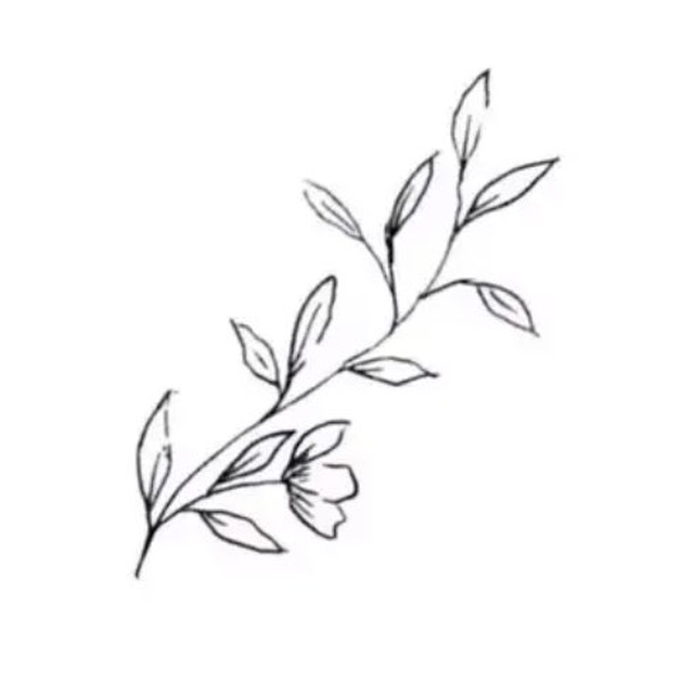 Хвост СелёТки 🦈