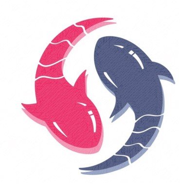 Production development academy