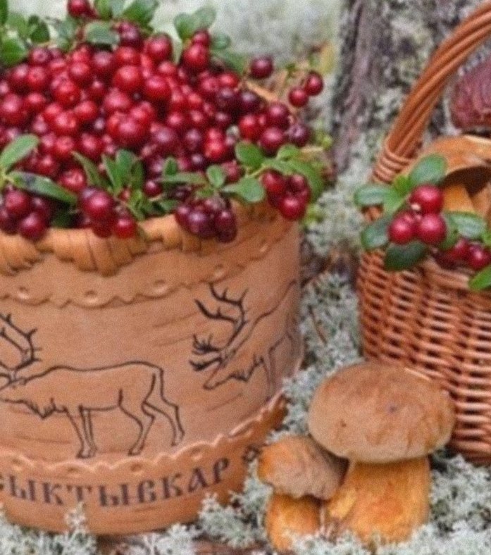 Лесные и морские дары