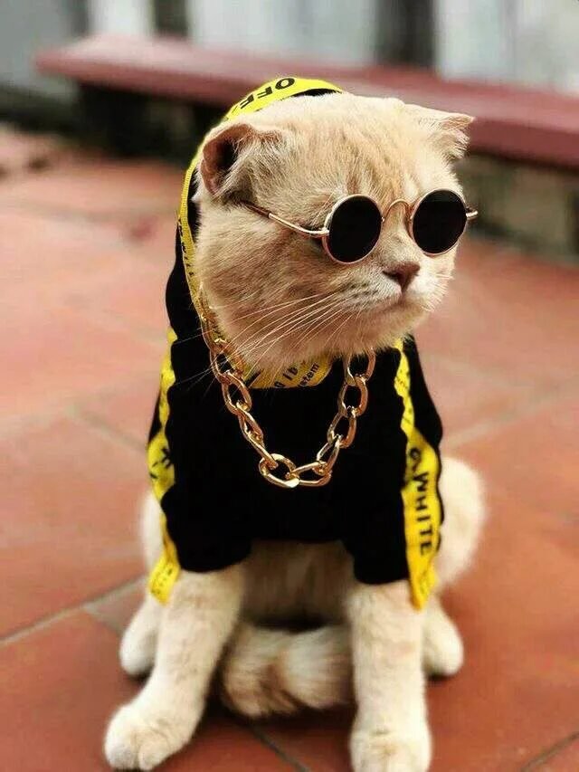 П***елка о том о сем