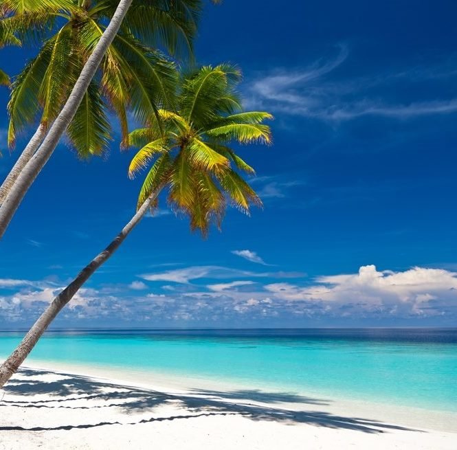 Южные знакомства