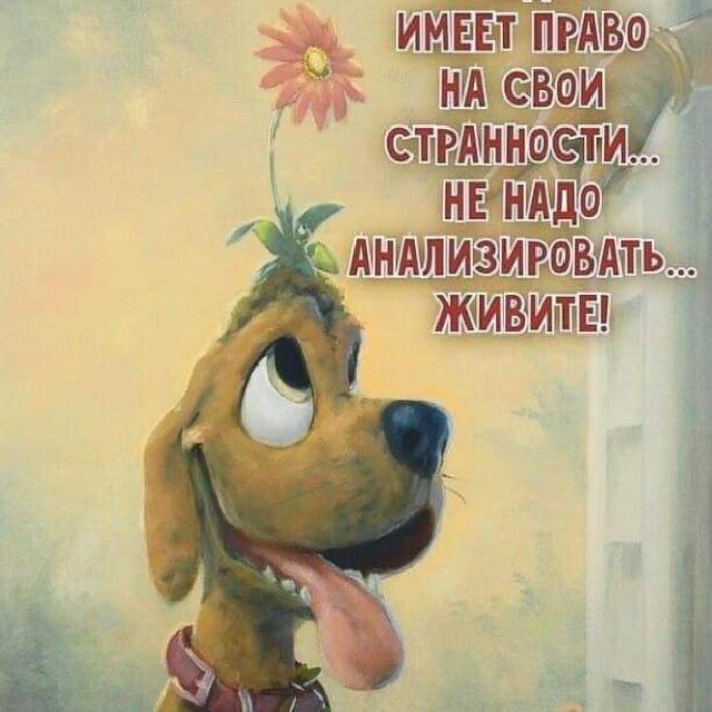 Текси