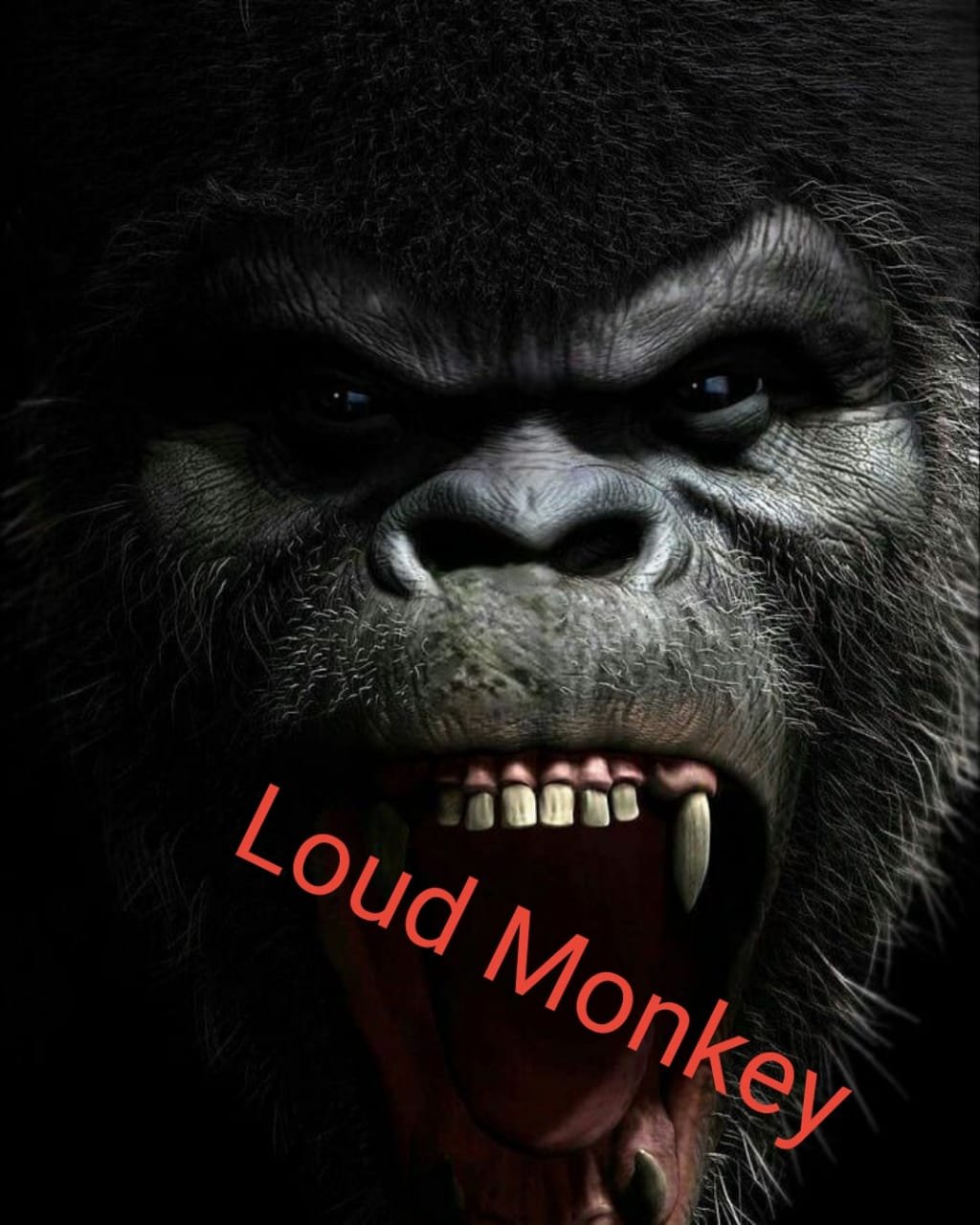 Loud Monkey