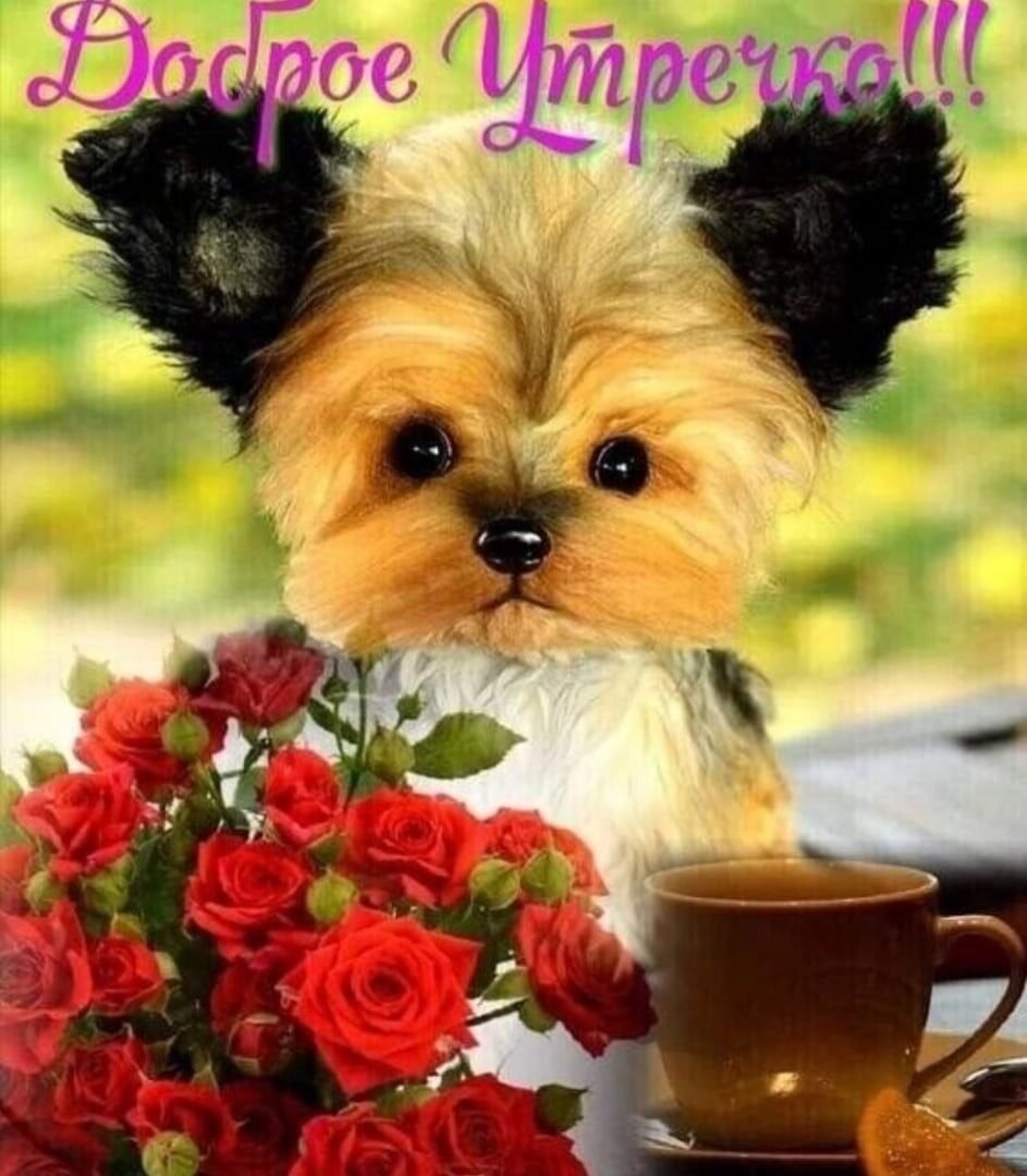 Общение 54 регион