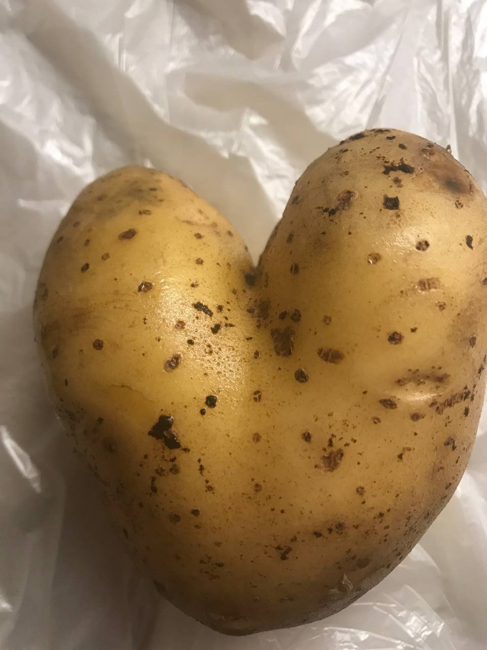 природа наука юмор хаос