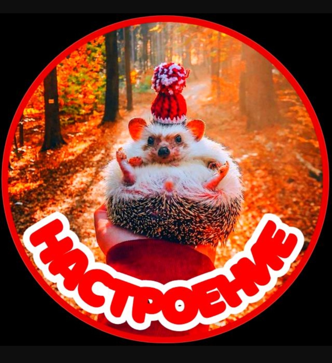 НаСтр😜еНиЕ🥳