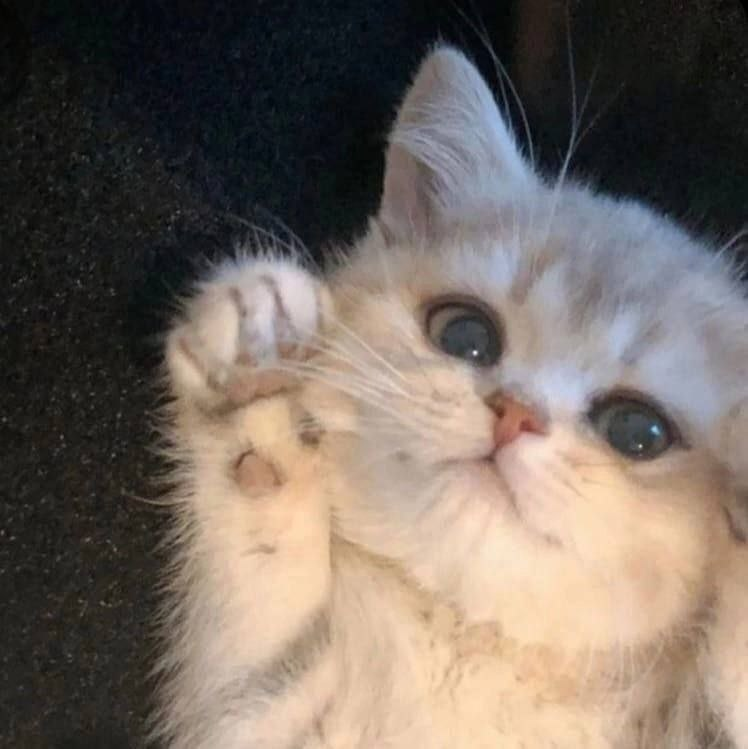 милые картиночки