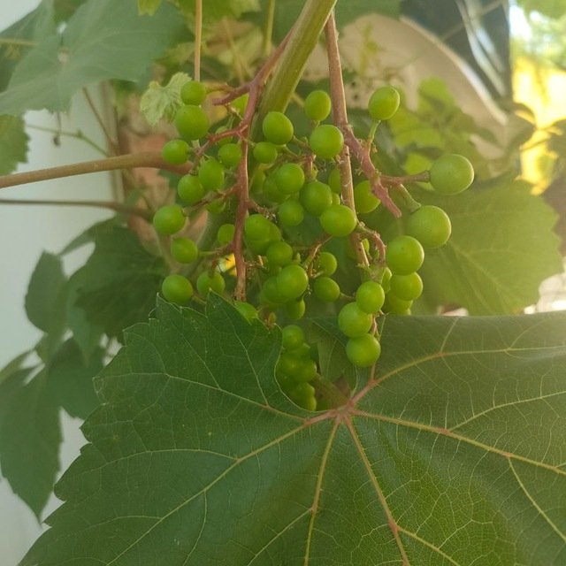 Барахолка Москва