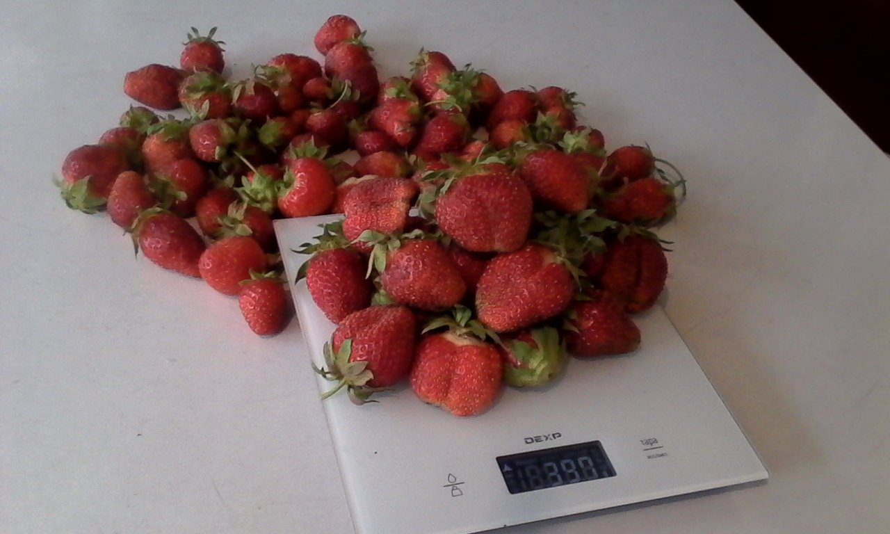 Земляника-Клубника🍓, Иркутск-Байкальск