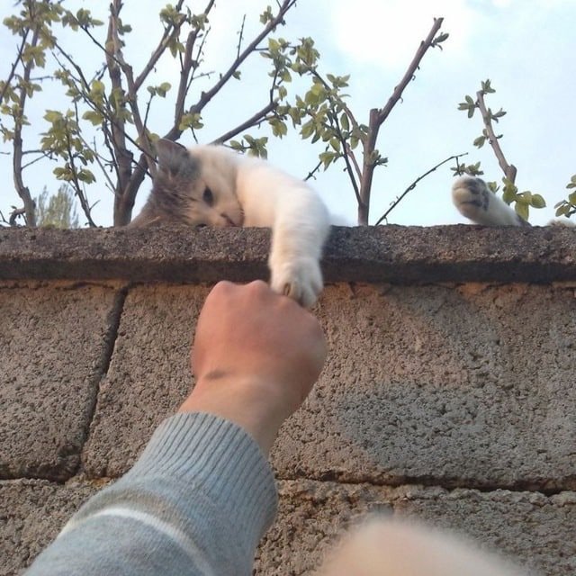 смотрю картинки