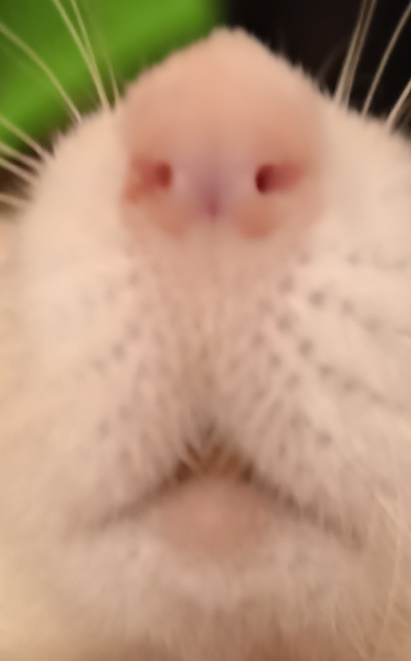 ОБЩЕНИЕ НОВЫЕ ЗНАКОМСТВА