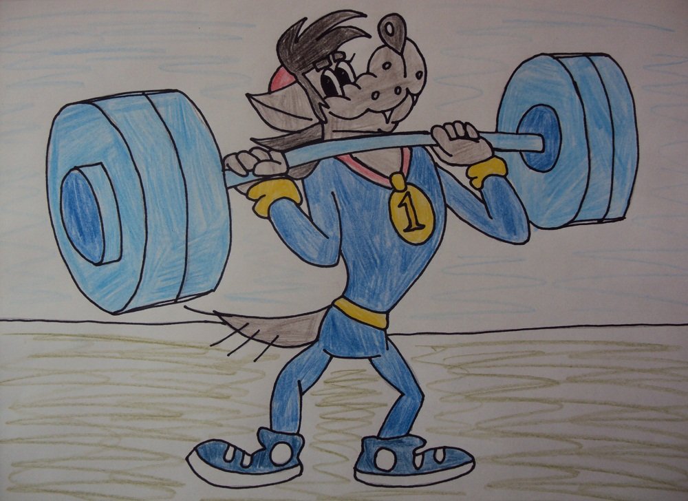 Не толстые | Спорт | Фитнес | Похудение | Правильное питание |