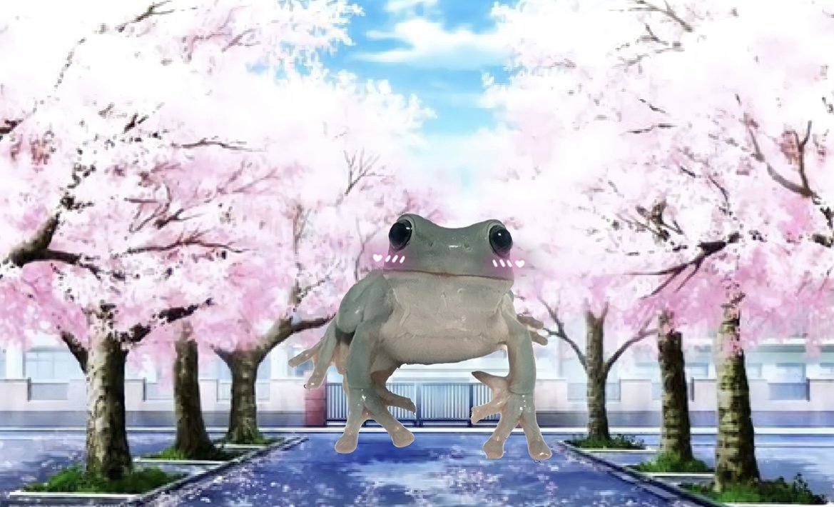 Лягушки жабятся / frogs