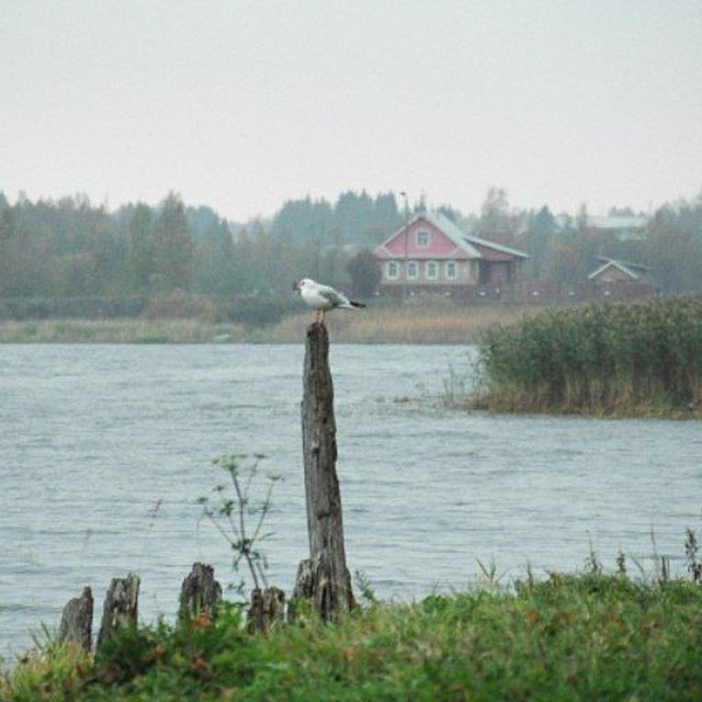 Душа России. В изображениях и строчках.