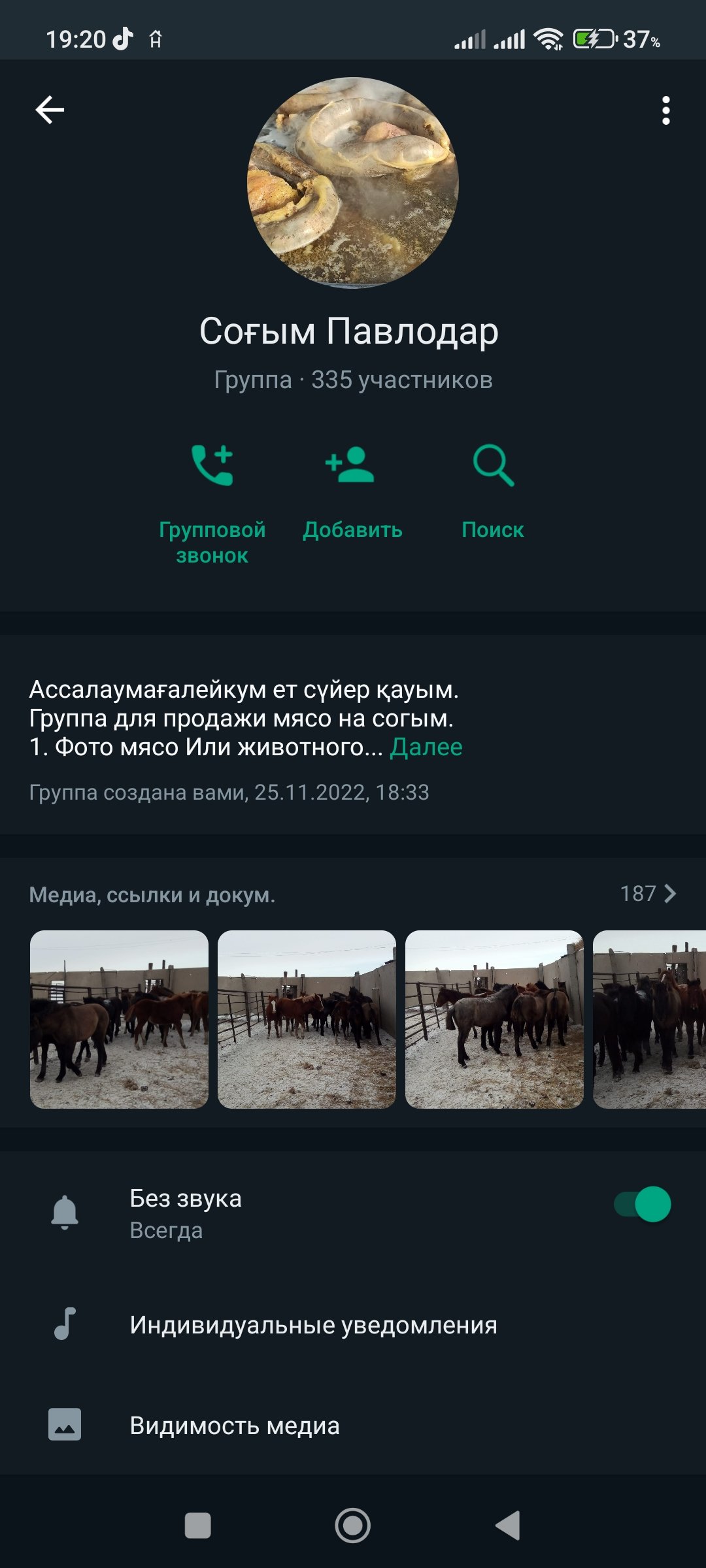 Соғым Павлодар