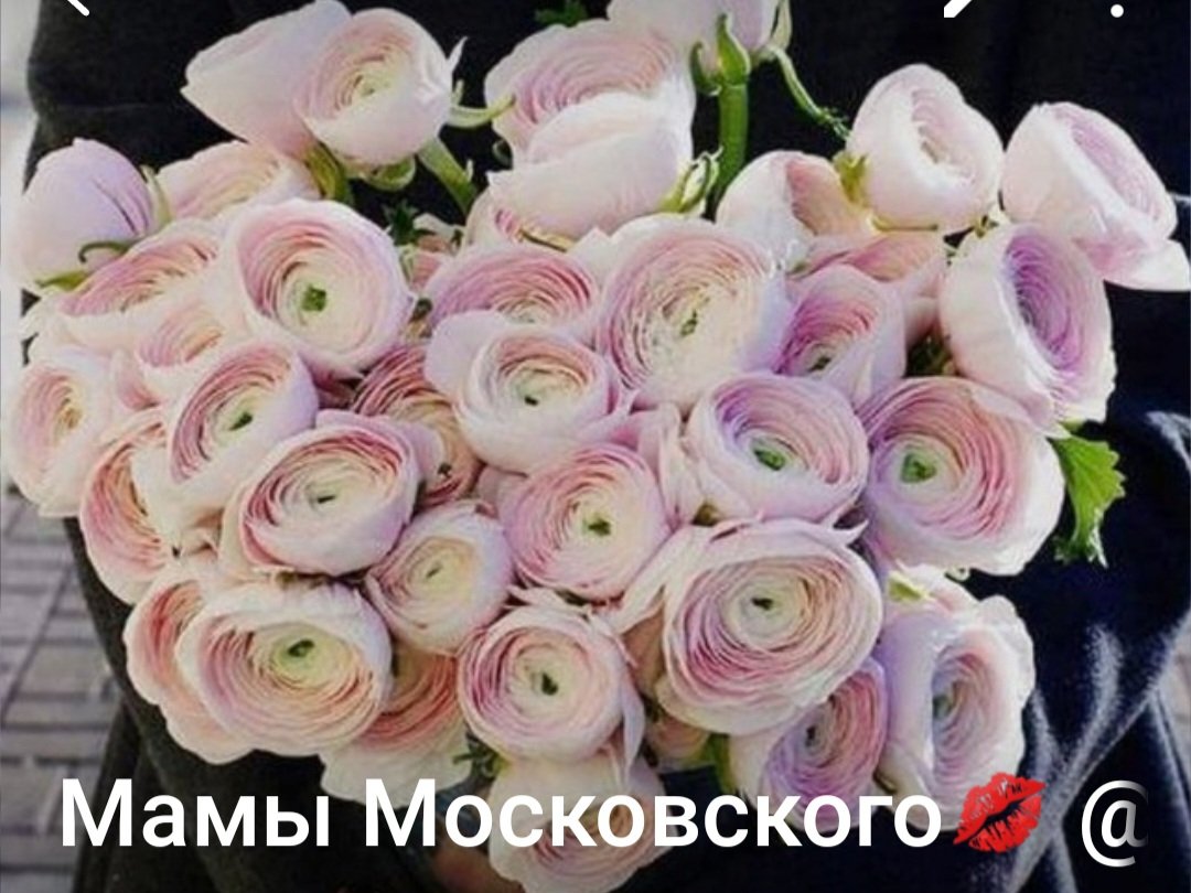 Мамы Московского @mm-mo