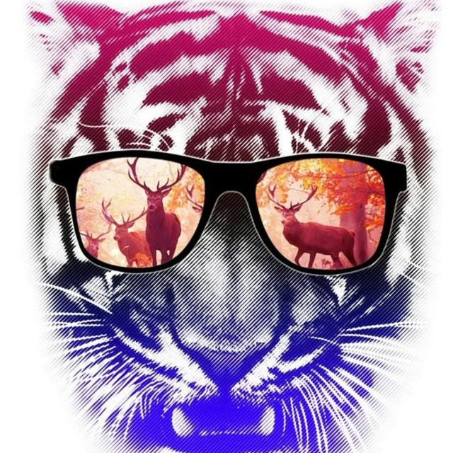 ОбЩеНиЕ, Стикеры, МуЗыКа😎