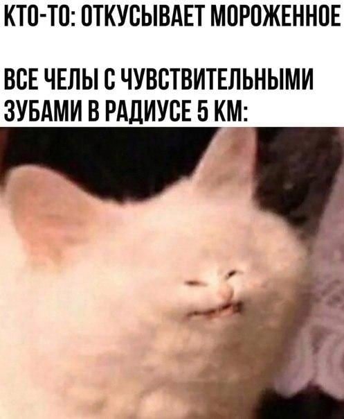 Стикерная общалка