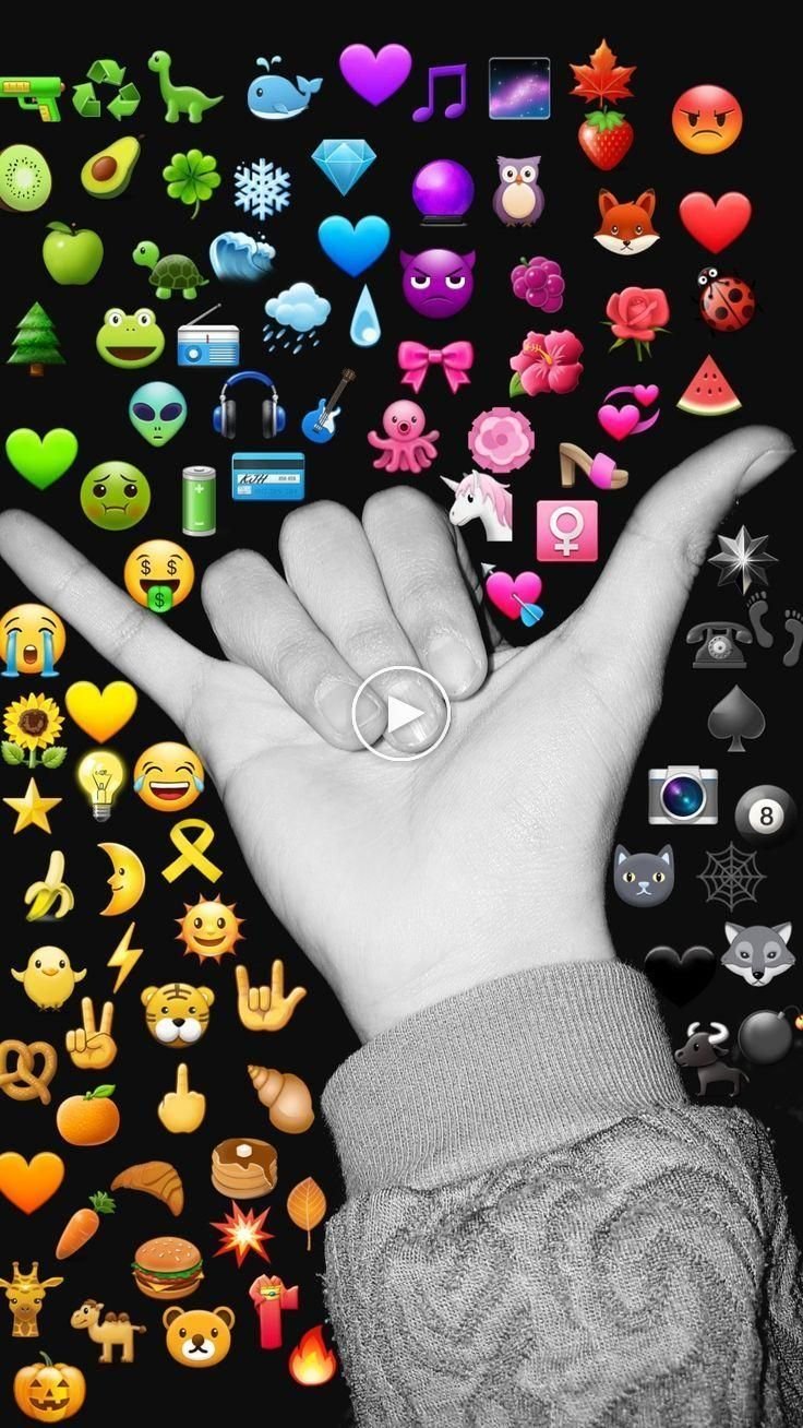 🤙Общюха 😎